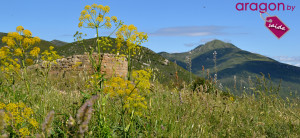 Senderismo en Huesca