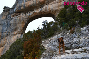 Portal de la Cunarda