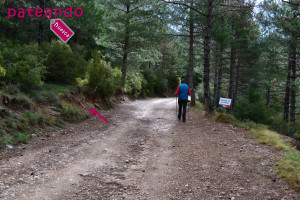 Ruta a la Virgen de la Peña