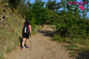 Pista hacia el Pico las Calmas